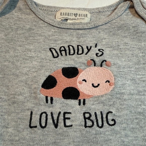 Rabbit + Bear - Gray Long Sleeve Organic Cotton Baby Onesie with Ladybug Design - Picture 2 of 3